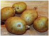 kartueffeln