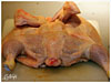 plattes-huhn