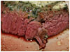 zart-kraeuterbutter-fleisch