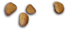 nugget-game